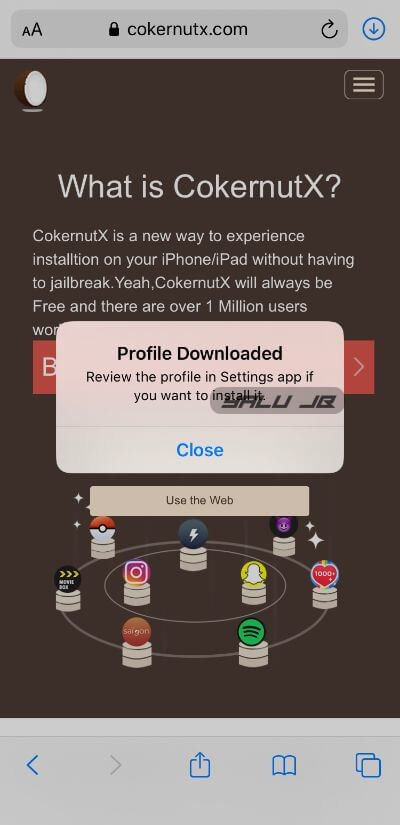 Cara jailbreak iOS 13 |0-13.5 tanpa komputer 3